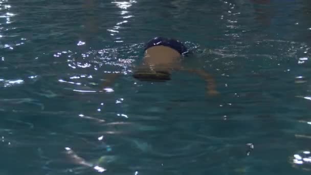 Çocuk yüzme havuzunda antrenman yapıyor. — Stok video