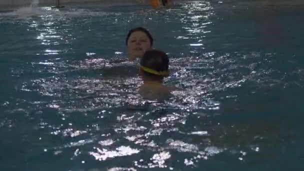 Treinamento de natação infantil na piscina — Vídeo de Stock