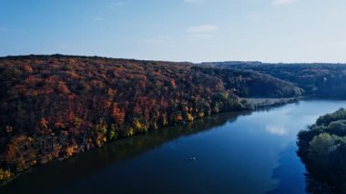 Sonbahar renkleri kırsal orman