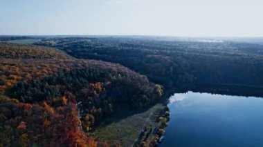 Drone sonbahar ormanında uçuyor.