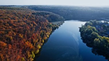 Kırmızı ve sarı ağaçlı orman, yukarıdan görünüyor.