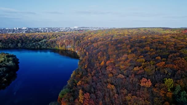 Foresta con alberi rossi e gialli vista aerea dall'alto — Video Stock