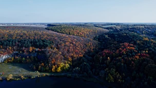 Colori autunno campagna bosco — Video Stock