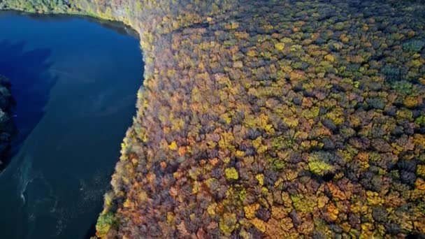 Otoño bosque paisaje drone metraje — Vídeos de Stock