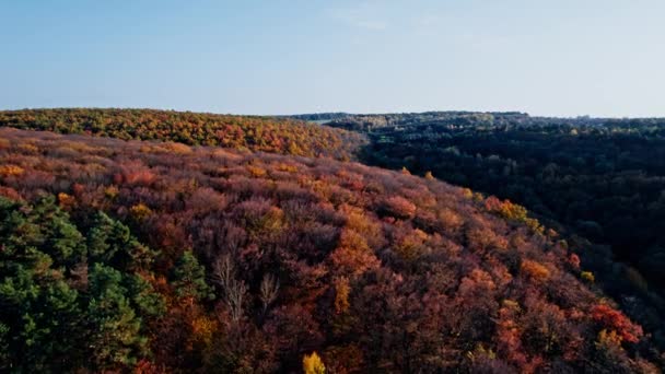 Inizio autunno nella foresta aerea vista dall'alto — Video Stock