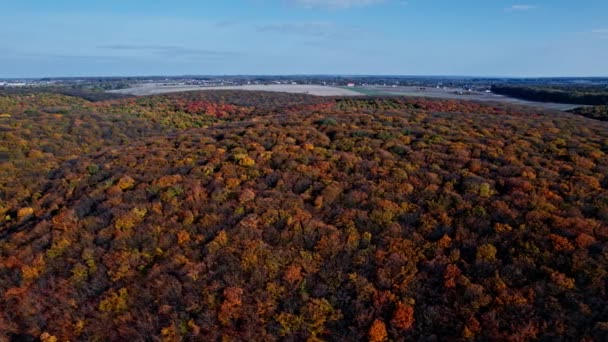 Levegő felülről lefelé kilátás erdő ősszel — Stock videók