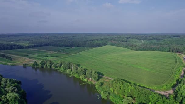 Велика Гарна Річка Оточена Зеленим Лісом — стокове відео