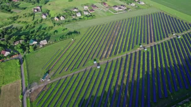 Рядки Фотоелектричних Сонячних Батарей Встановлених Створення Чистої Дешевої Енергії — стокове відео
