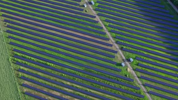 Panel Solar Granja Solar Tecnología Para Generar Energía Eléctrica Corriente — Vídeo de stock