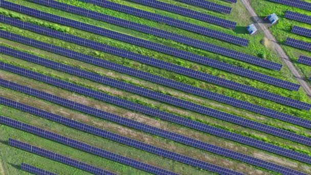 Farma Słoneczna Produkcja Energii Słonecznej Walka Zmianami Klimatu Rozwój Technologii — Wideo stockowe