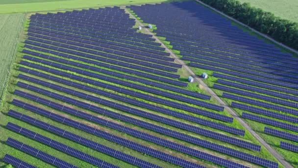 Amplia Superficie Cultivo Ahora Cubierta Con Energía Solar Generación Energía — Vídeos de Stock