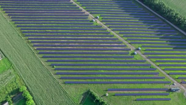 Lot Dronem Nad Polem Paneli Słonecznych Koncepcja Odnawialnej Zielonej Energii — Wideo stockowe