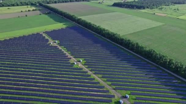 Drone Flight Solar Panels Field Renewable Green Alternative Energy Concept — Stockvideo