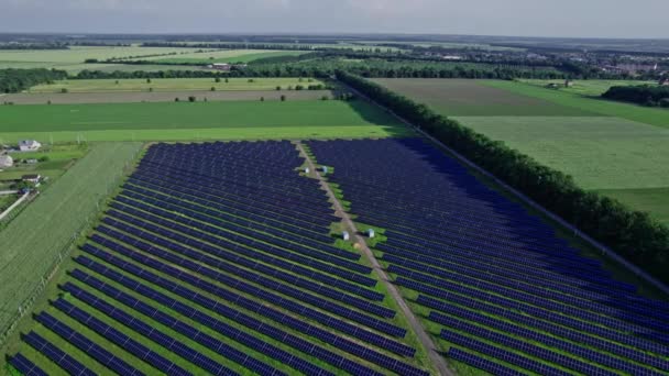 Panel Solar Granja Solar Tecnología Para Generar Energía Eléctrica Corriente — Vídeos de Stock