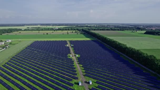 Solar Panel Solar Farm Technology Generate Electrical Power Direct Current — Stockvideo
