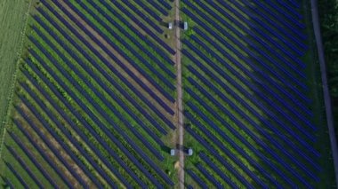 Alanlardaki ekoloji güneş enerjisi enerji panelleri peyzaj elektriksel yeniliğinde yeşil enerji