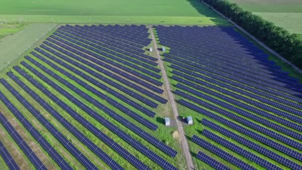 Ecología Paneles Centrales Solares Los Campos Energía Verde Paisaje Innovación — Vídeos de Stock