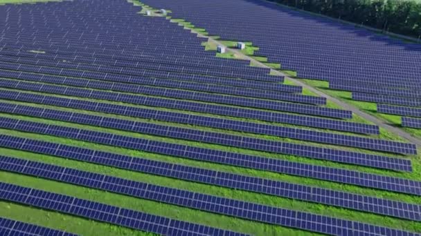 Farma Słoneczna Produkcja Energii Słonecznej Walka Zmianami Klimatu Rozwój Technologii — Wideo stockowe