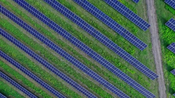 Panel Solar Granja Solar Tecnología Para Generar Energía Eléctrica Corriente — Vídeos de Stock