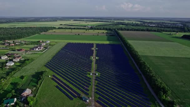 Рядки Фотоелектричних Сонячних Батарей Встановлених Створення Чистої Дешевої Енергії — стокове відео