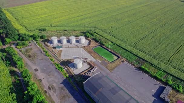 照相机在田里的农场上空飞行 从空中看现代农业 — 图库视频影像