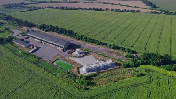 畑の農場でのカメラ飛行 近代農業への空中ビュー — ストック動画