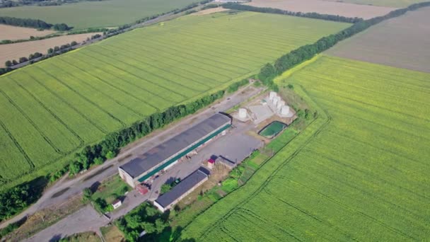 가운데있는 농장의 날으는 드론에서 바라본 — 비디오