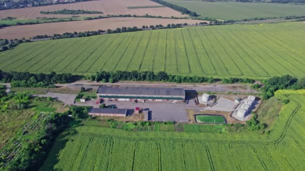 Aerial View Farm Buildings Surrounded Agricultural Fields Drone Point View — Stock Video