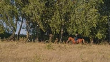 Yaz güneşli bir günde dört nala koşan dişi binicili bir at.