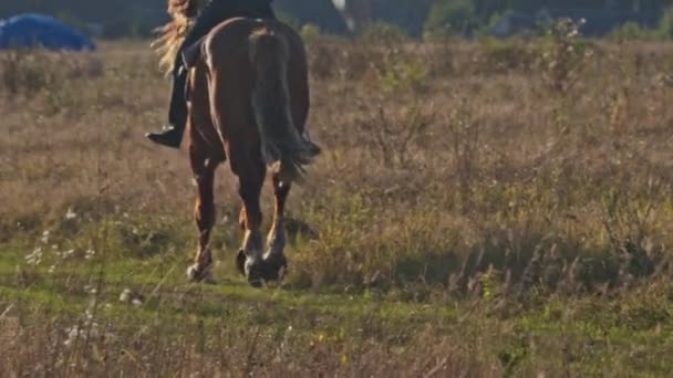 Vrouw Paardrijden Paardrijden Weide Achtergrond Van Bos — Stockvideo