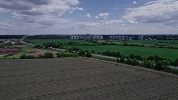 Drone Die Een Maïsveld Vliegt Bij Zonsondergang — Stockvideo