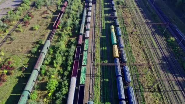 Behållare Godståg Station Last Transport Järnvägsindustrin — Stockvideo