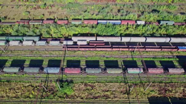 Aerial View Flying Drone Colorful Freight Trains Railway Station — Stok video