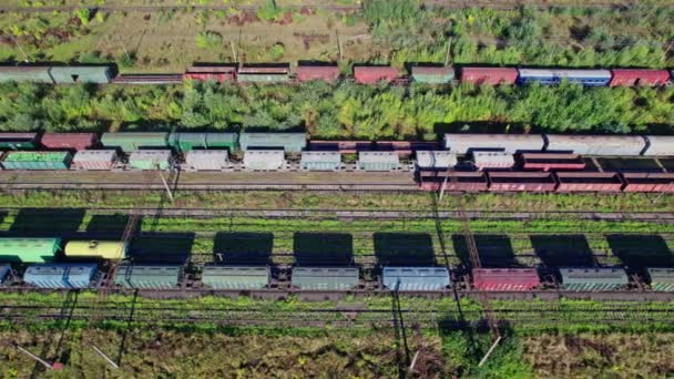 Вид Воздуха Летающего Дрона Красочных Грузовых Поездов Железнодорожном Вокзале — стоковое видео