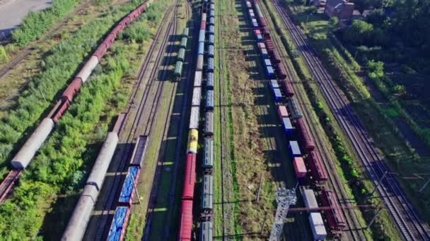Containerfrachtzug Bahnhof Güterbahnverkehr — Stockvideo
