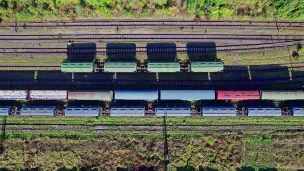 Railway Cargo Station Junction Lot Trains Track Lines — Vídeos de Stock