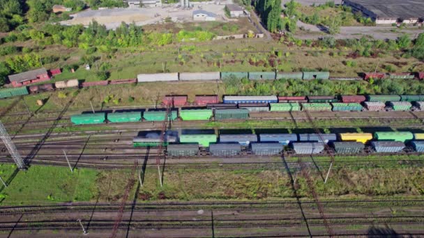 Pociąg Towarowy Kontener Stacji Sektora Transportu Kolejowego Cargo — Wideo stockowe