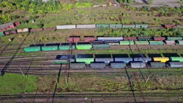 Railway Station Lots Lines Freight Trains Aerial View — Vídeos de Stock