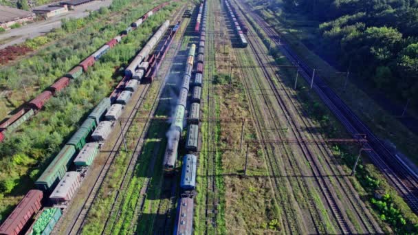 Aerial View Flying Drone Colorful Freight Trains Railway Station — ストック動画