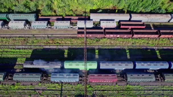 Railway Station Lots Lines Freight Trains Aerial View — Stock Video