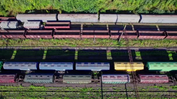 Διασταύρωση Σιδηροδρομικού Σταθμού Φορτίου Πολλές Αμαξοστοιχίες Και Σιδηροδρομικές Γραμμές — Αρχείο Βίντεο