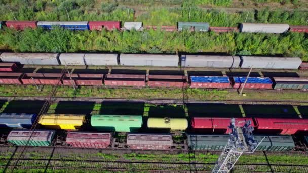 Wagons Goods Railroad Industrial Conceptual Scene Trains — 图库视频影像