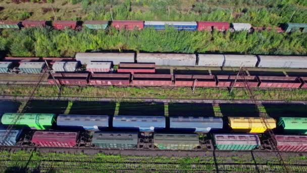 Güterbahnhof Mit Zügen Güterverkehr — Stockvideo
