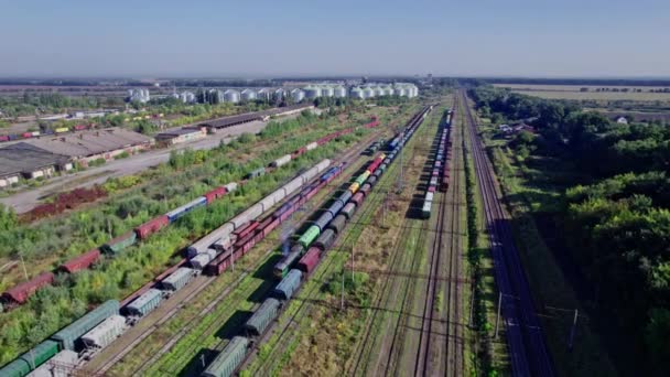Połączenie Kolejowej Stacji Towarowej Wieloma Pociągami Liniami Kolejowymi — Wideo stockowe