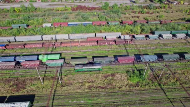 Estación Carga Con Trenes Transporte Carga — Vídeo de stock