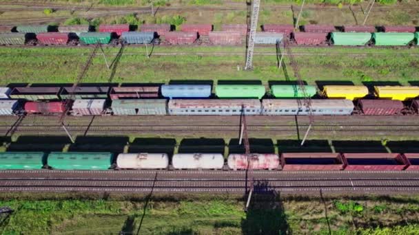 Railway Cargo Station Junction Lot Trains Track Lines — Video