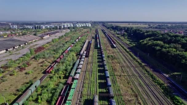 Vagões Com Mercadorias Caminho Ferro Cena Conceitual Industrial Com Trens — Vídeo de Stock