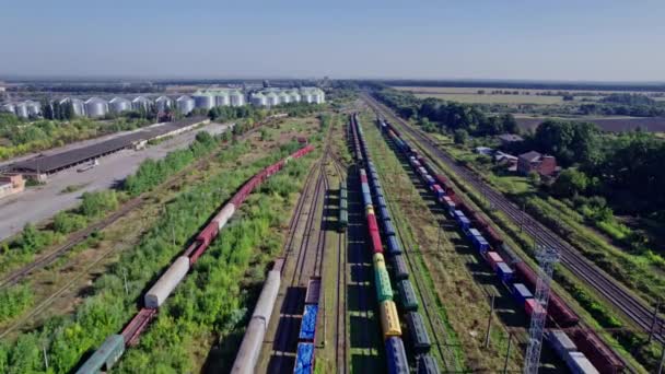 Pociąg Towarowy Kontener Stacji Sektora Transportu Kolejowego Cargo — Wideo stockowe
