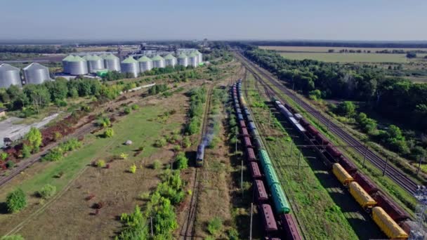 Dworzec Kolejowy Dużą Ilością Linii Pociągów Towarowych Widok Powietrza — Wideo stockowe