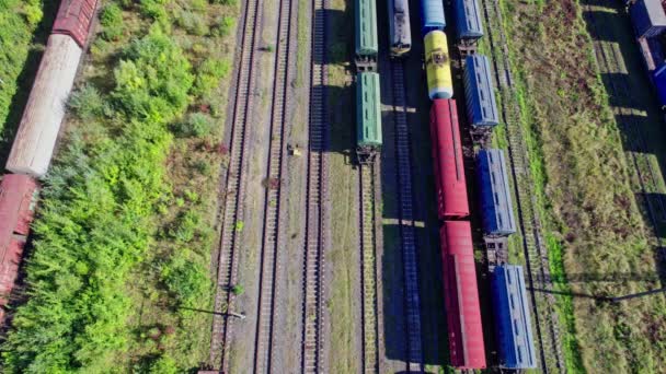 Industrielandschaft Mit Zug Depot — Stockvideo